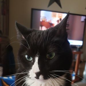 Meet your Posher, Jean